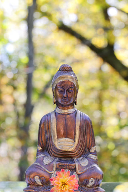 istock A statue of Gautam Buddha 902012738