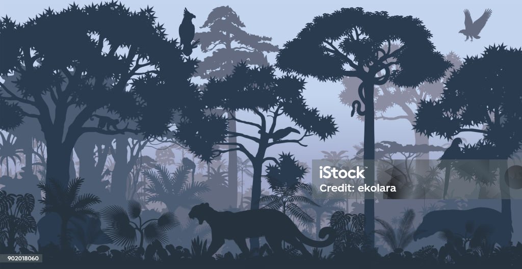 Vector evening tropical rainforest Jungle background with jaguar, harpy, monkey, parrot, toucan, anaconda and boar Animal stock vector