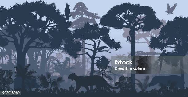 Vector Evening Tropical Rainforest Jungle Background With Jaguar Harpy Monkey Parrot Toucan Anaconda And Boar Stock Illustration - Download Image Now