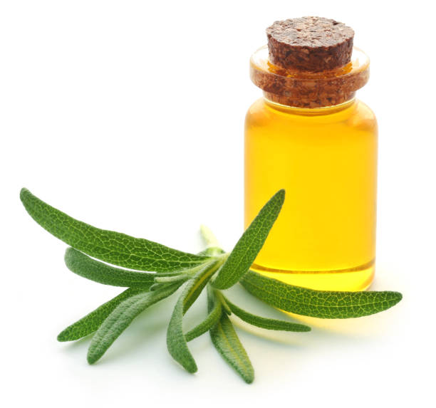 istock Fresh organic rosemary with essential oil 902018236