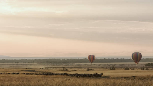 istock Sunrise Balloons Over Masai Mara During Migration 902024396