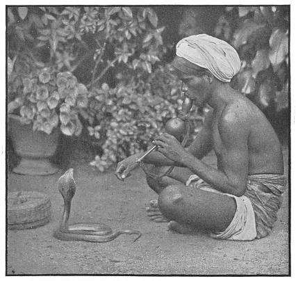 Snake charmer in Colombo, British Ceylon during the british era. Vintage photo printed in halftone circa late 19th century. Colombo is now a part of Sri Lanka.