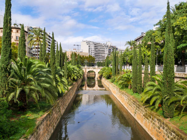 istock Canal surrounded by green trees and bushes. 902027748