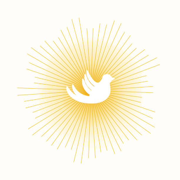 dove in sun lights Dove pigeon in sun lights concept. Stock vector illustration of religion symbol. communion stock illustrations