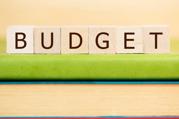 istock Budget word built with letter cubes on green book 902045758