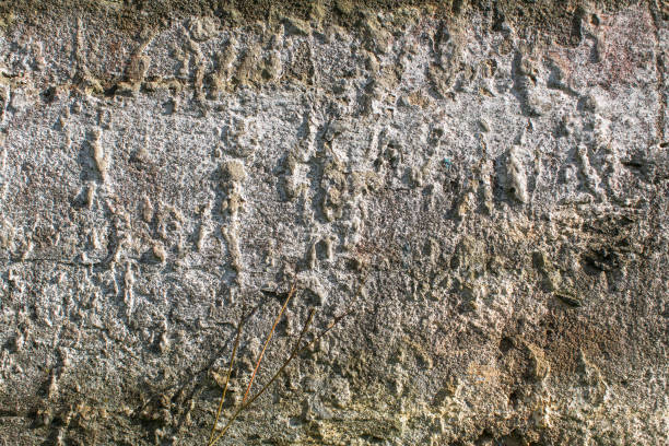 istock Rough texture of a concrete wall. 902077912