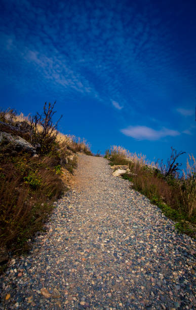 istock hiking trail Gaspe Quebec 902080670