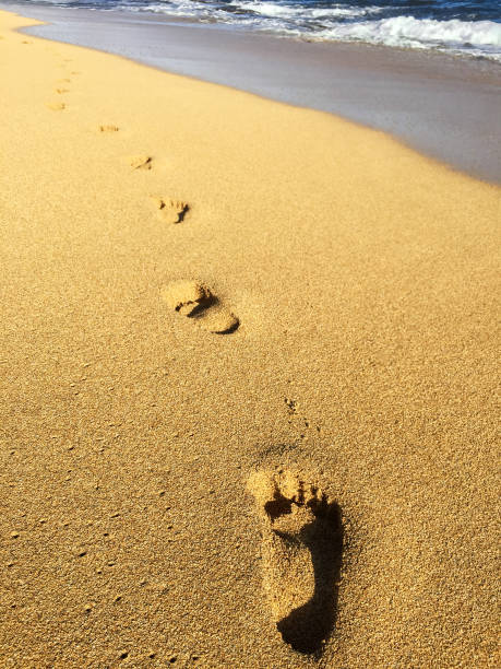 istock Golden sand and frothy waves on Hawaiian beach 902081204