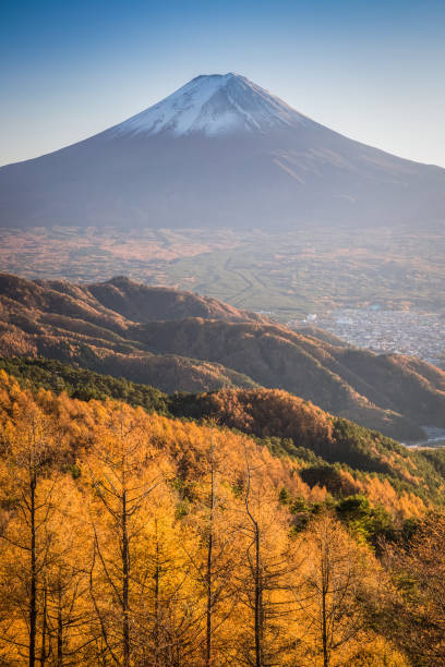 富士山 - fuji mt fuji yamanashi prefecture japanese fall foliage ストックフォトと�画像