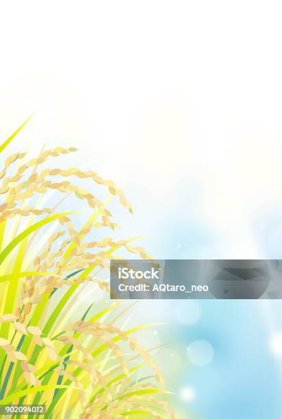 Blue Rice Farm Drawing Rice Field Under The Blue Sky Stock Illustration - Download Image Now ...