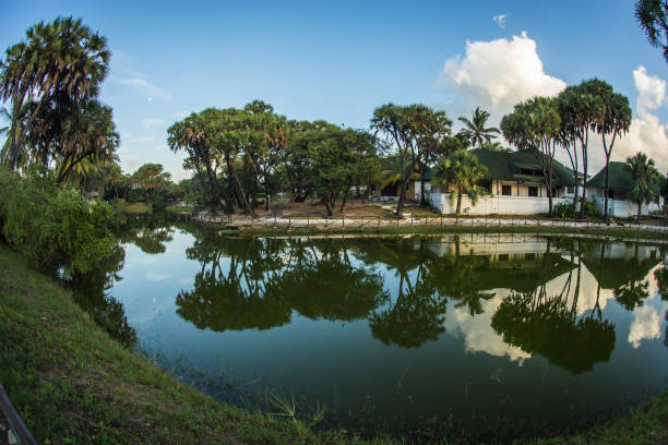 istock Picturesque landscape with reflections in  green river, Kenya 902109894