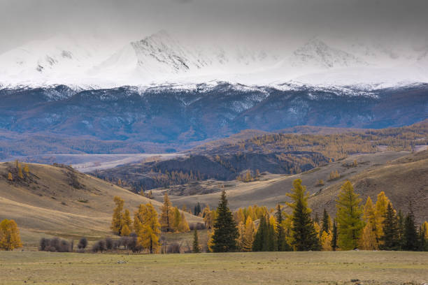 istock Mountain panorama of the Kuray steppe 902113056