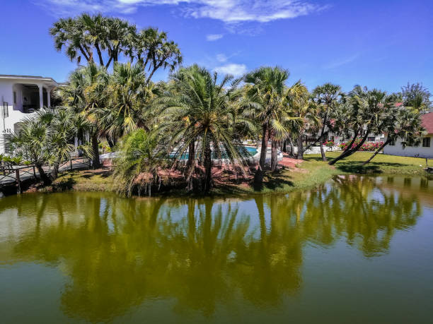 istock Picturesque landscape with reflections in  green river, Kenya 902113954
