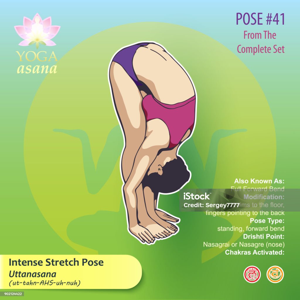 41 Intense Stretch Pose Vector illustration of Yoga Exercises with full text description, names and symbols of the involved chakras. Female figure showing the position of the body, posture or asana in sitting position. Alertness stock vector