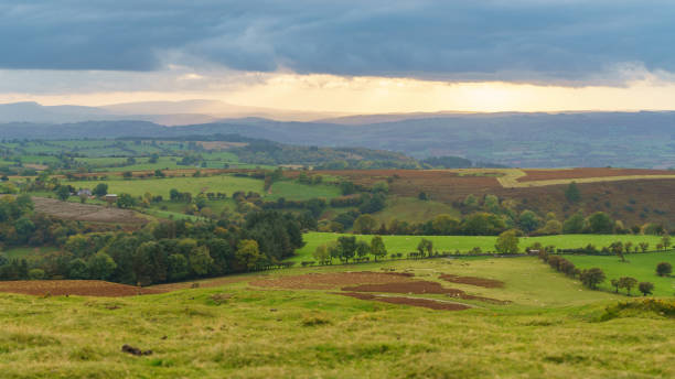 istock Landscape near Hay Bluff, Wales, UK 902124926