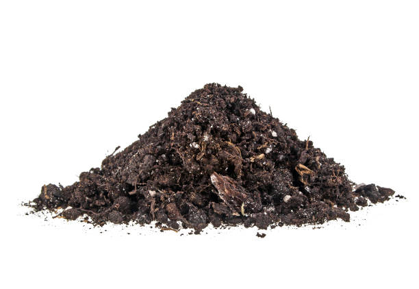 istock Pile heap of soil humus isolated on white background 902128262