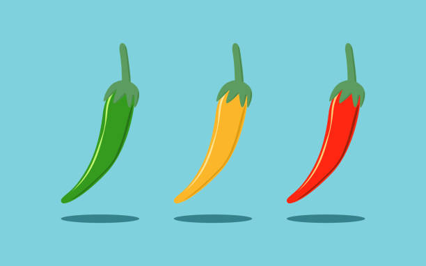 gorąca czerwona zielona i żółta papryczka chili izolowana w płaskim wzorze ikon na niebieskim tle - chili pepper spice thailand food stock illustrations