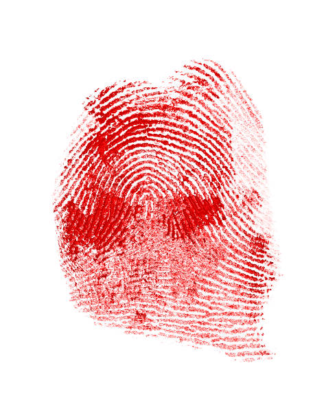istock Red fingerprint on white paper 902140002