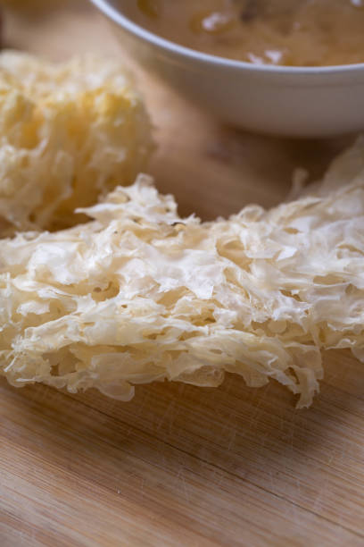 istock Close up of snow fungus 902140086