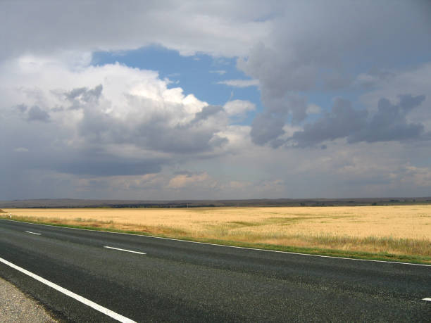 istock Ripe rye and rainy skies 902140308