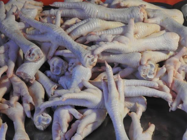 istock Chickens at a market in Khao Lak 902140550