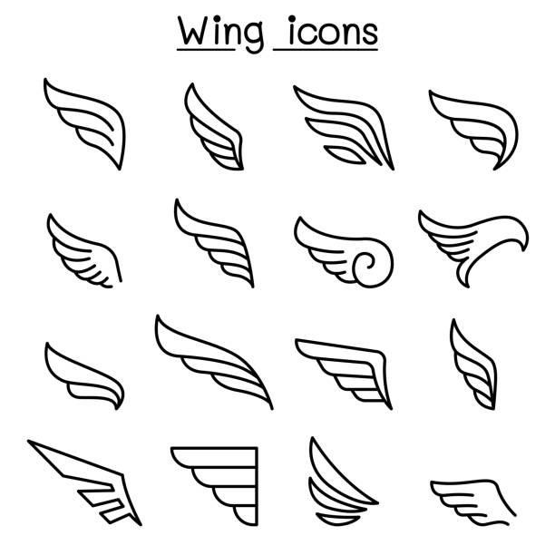 stockillustraties, clipart, cartoons en iconen met vleugel pictogrammenset in dunne lijnstijl - dierenvleugel