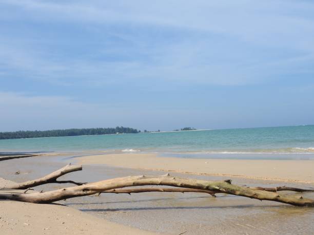 istock Beach at Khao Lak THailand 902145696