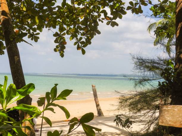 istock Beach at Khao Lak THailand 902145936