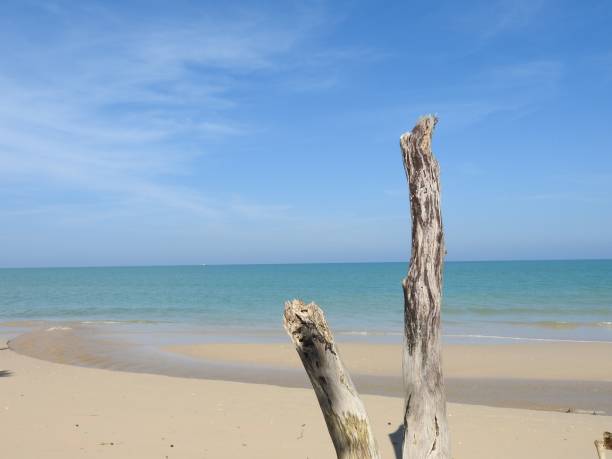 istock Beach at Khao Lak THailand 902149230