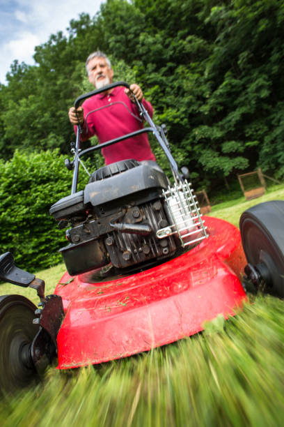 istock Senior man mowing the lawn in his garden 902155694