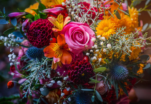 gemischte blumenstrauß - cut flowers bouquet flower flower arrangement stock-fotos und bilder