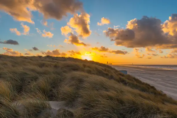 Sunset in the sand dunes of Ostend by the North Sea with a view over the beach and the skyline of the city in the background, West Flanders, Belgium.