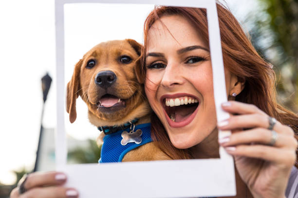 Happy woman with his Labrador puppy in Miami Beach. Happy woman with his Labrador puppy in Miami Beach. pet owner photos stock pictures, royalty-free photos & images