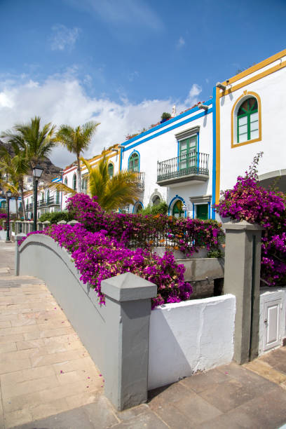 istock Houses in Gran Canaria 902164844