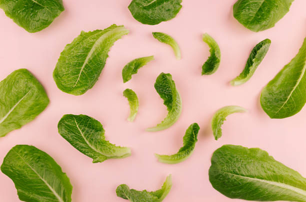 istock Fresh green spinach on soft gentle pink background, cheerful modern spring food backdrop. 902167120