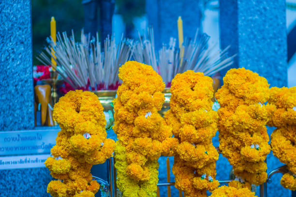 istock Beautiful marigold garland flower for Brahma image worship 902167234
