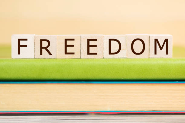 istock Freedom word built with letter cubes on green book 902171066