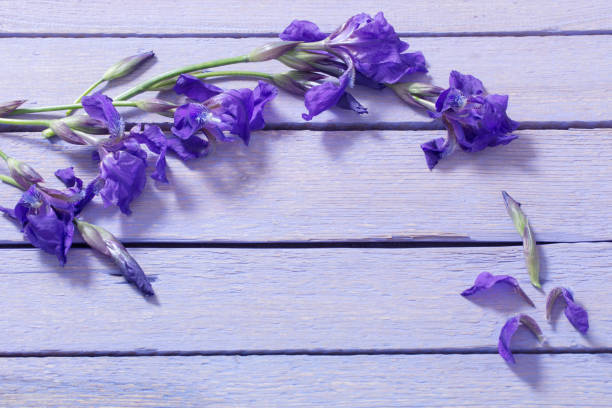 istock spring flowers on wooden background 902171760