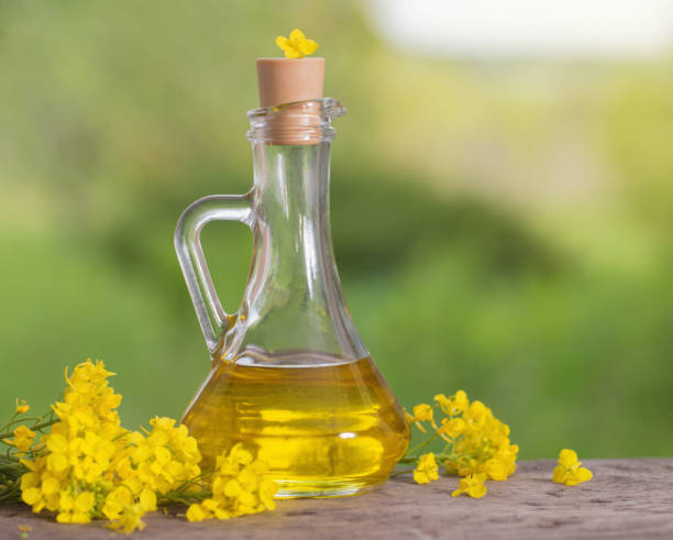 istock rapeseed oil (canola) and rape flowers on wooden table 902171804