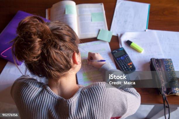 Teenager Doing Homework Stock Photo - Download Image Now - Studying, Learning, Teenager