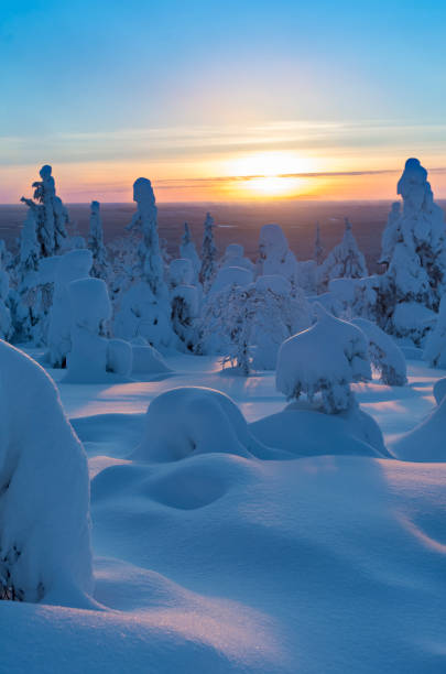 istock Winter landscape in Lapland Finland 902181340