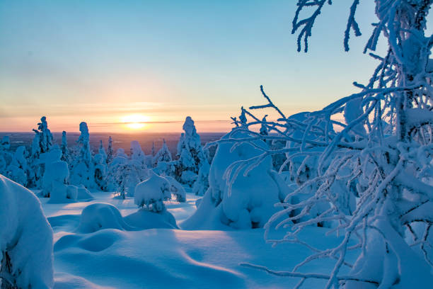 istock Winter landscape in Lapland Finland 902183780