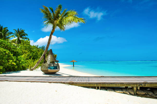 istock Chill lounge zone on the sandy beach 902187804