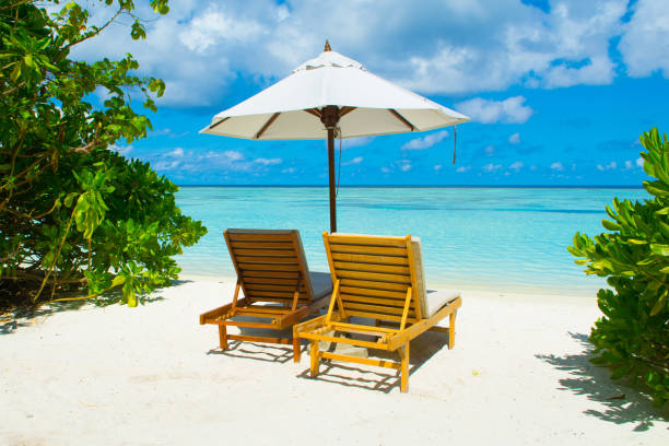 istock Beautiful landscape with sunbeds and umbrellas on the sandy beach 902187992