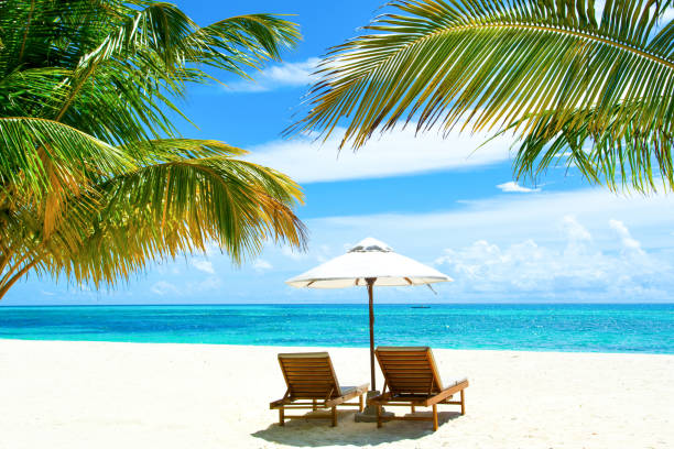 istock Beautiful landscape with sunbeds and umbrellas on the sandy beach 902187996