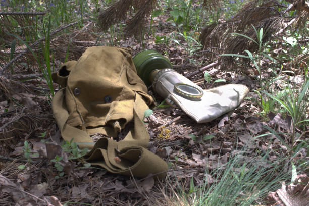 istock army gas mask without hose and rag bag under a withered pine branches. Close-up 902188146