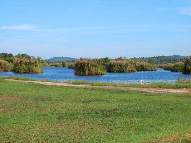 istock A small pond in the city park 902189032