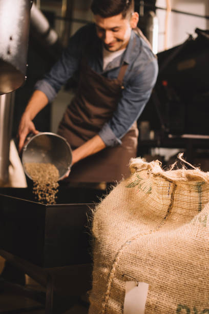 istock coffee roaster pouring coffee beans into roasting machine 902195496
