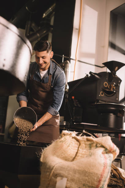 istock coffee roaster pouring coffee beans into roasting machine 902195850