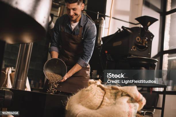 Coffee Roaster Pouring Coffee Beans Into Roasting Machine Stock Photo - Download Image Now